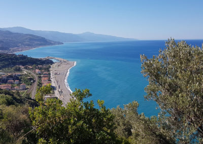 The Beach and Marina